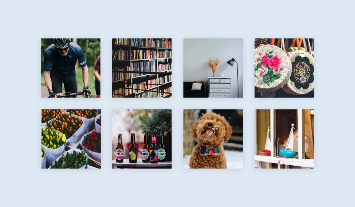 New store and local business categories